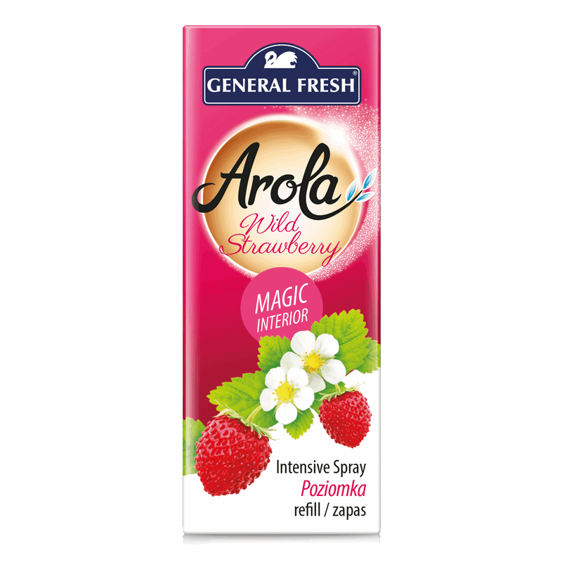 POZIOMKA - ZAPAS SZYSZKA odświeżacz zapachu w sprayu refill General Fresh